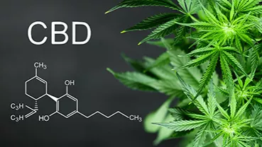 overcoming-formulation-challenges-cannabinoids