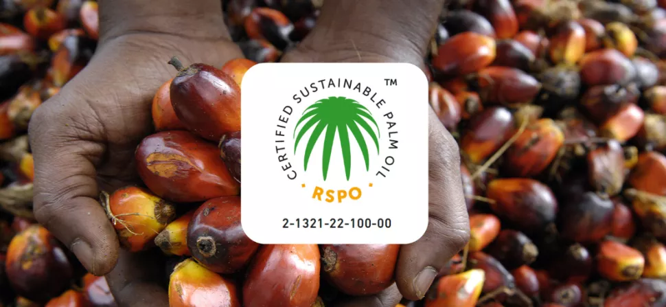 une-demarche-reconnue-rspo